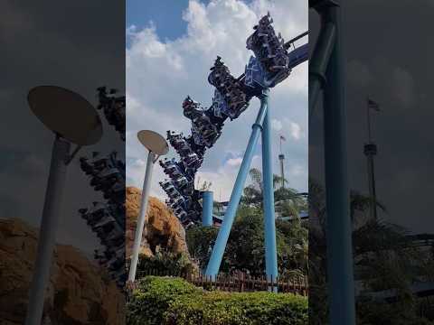 #rollercoaster #seaworld #youtubeshorts