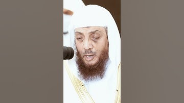 تلاوة مرئية سورة الغاشية الآيات من ١٧ إلى ٢٦ الشيخ أسامة خياط