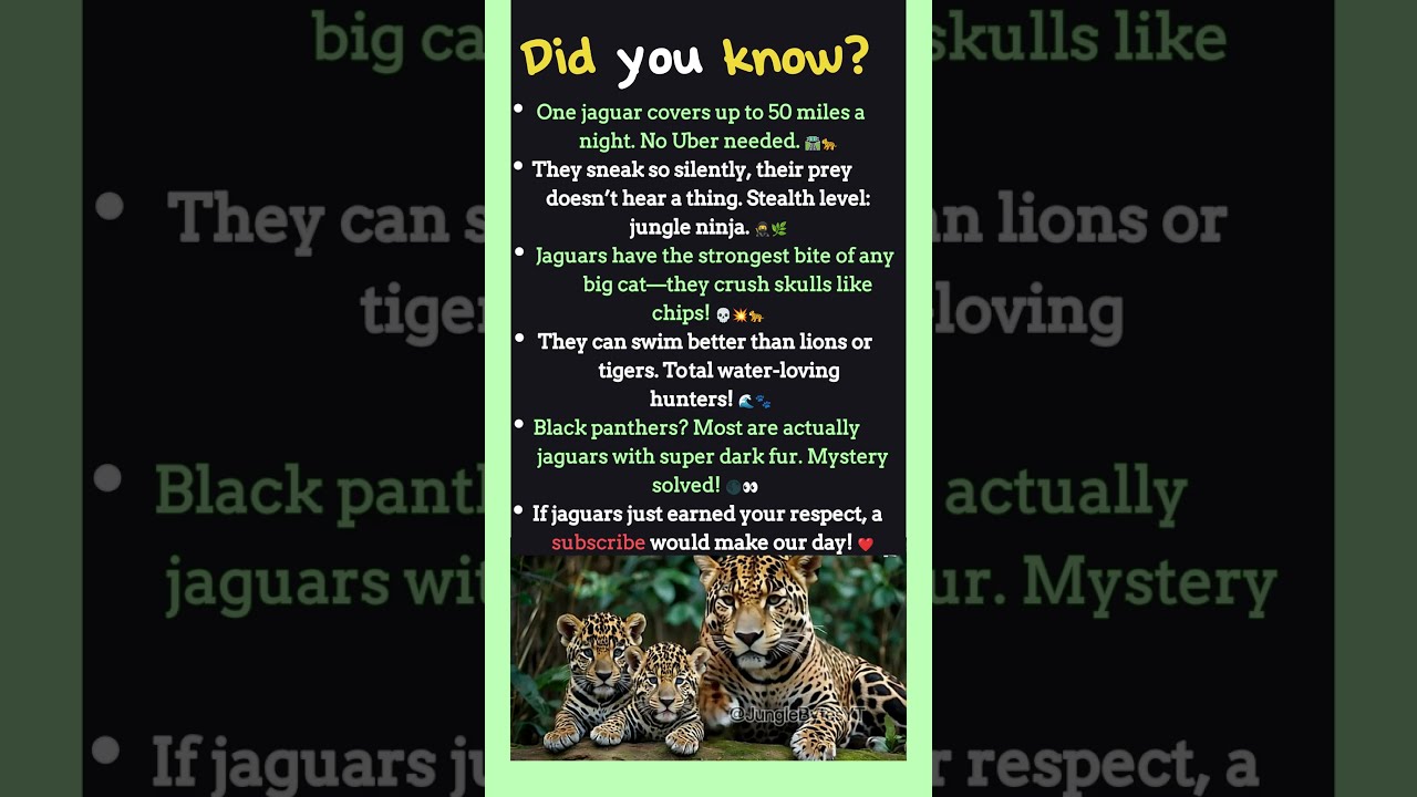 Mind-Blowing Jaguar Facts You Never Knew! 🐆💥 
