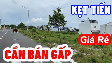 Cần Tiền Giả Quyết Việc GẤP Chủ Cần Bán Gấp Lô Đất Thổ Cư Vị Trí Đẹp 1T85 | Đất Bà Rịa - Vũng Tàu