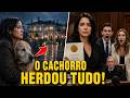 O TESTAMENTO DO CÃO