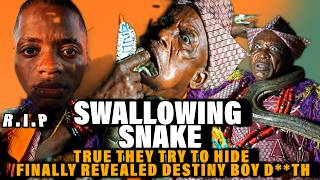HE SW*LLOWED POWERFUL SN*KE!MANY TRUE THEY TRY TO HIDE FINALLY REVEALED DESTINY BOY DEATH-O.AWAIYE