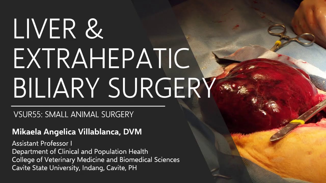 Lecture 9.1 Liver and Extrahepatic Biliary Surgery