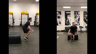 Box Single Leg Drop & Catch 2