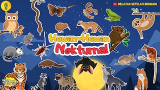 Getting to Know Nocturnal Animals (Animals That Are Active at Night) || For Early Childhood