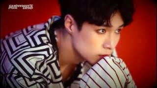 Animal Lay EXO FMV