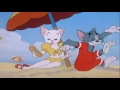 Tom And Jerry 31 Salt Water Tabby 
