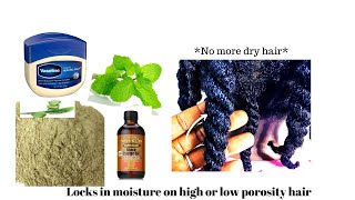 These four ingredients will lock in MOISTURE & grow your hair| No more dry hair| Hair Moisturizer|