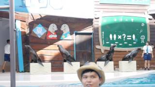 1050618花蓮海洋公園10