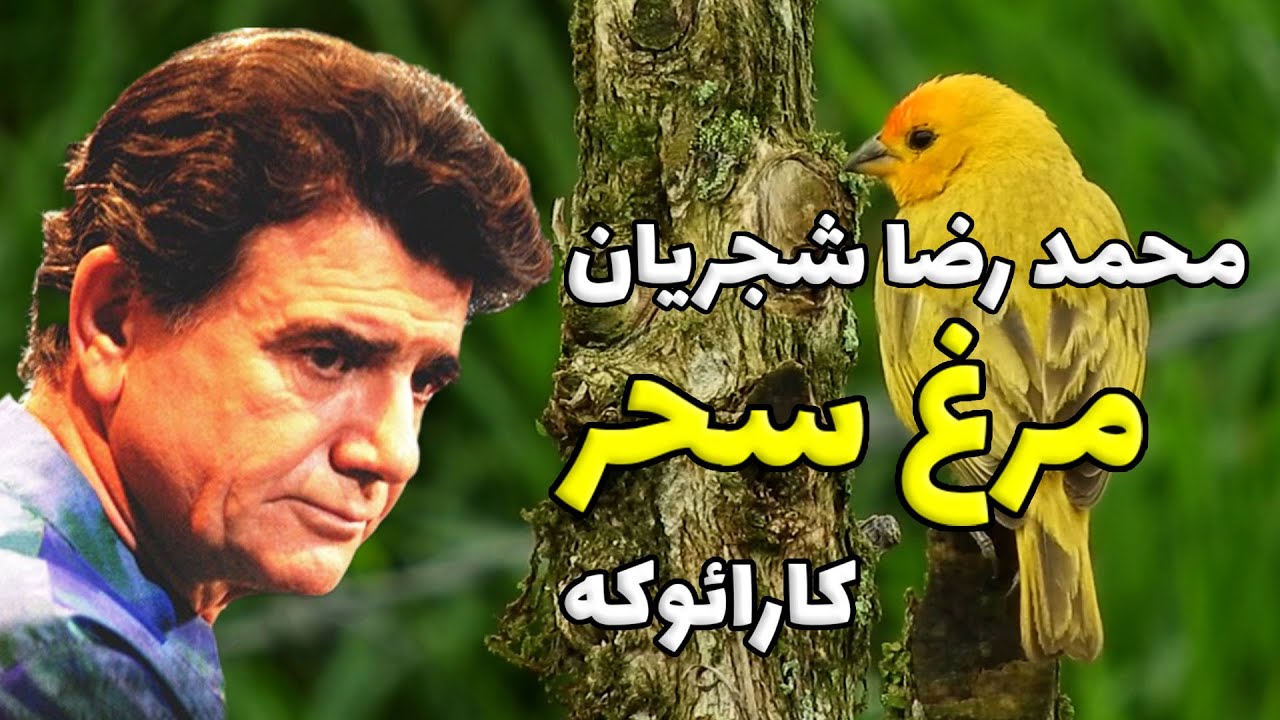 مرغ سحر ناله سر کن