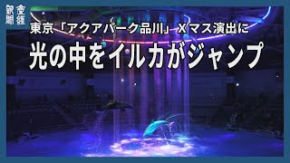 光の中をイルカがジャンプ　東京「アクアパーク品川」、Ｘマス演出に