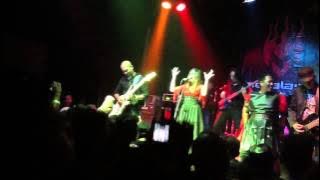 Metalasia - Puspasari Penawar Puteri