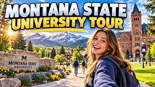 Montana State University Campus Tour 🇺🇸 | See the Campus Before You Apply