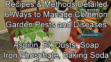6 Ways to Manage Common Garden Pests and Diseases - Methods & Recipes: From Aspirin to Dusts & More