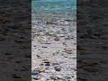 Mesmerizing River Scene