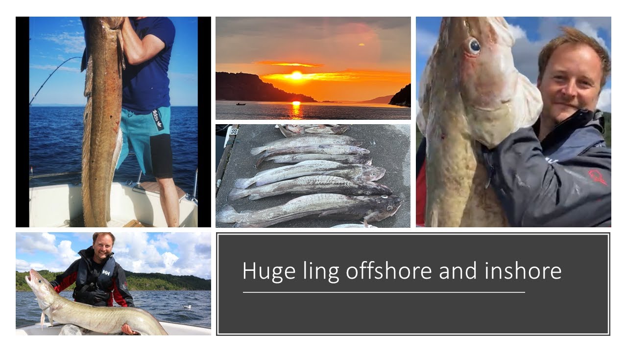 Fantastic ling fishing offshore and inshore June 2022. Hav og fjordfiske etter storlange.Episode 30