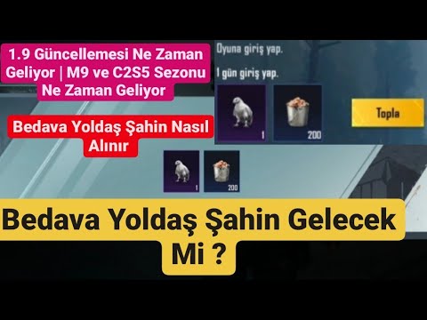 Bedava Yoldaş Şahin Nasıl Alınır | Bedava Yoldaş Mı Dağıtılıyor | Pubg Mobile Yoldaş Nasıl Alınır