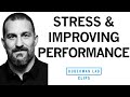 The impact of mindset on stress and performance  dr andrew huberman