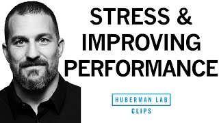 The Impact Of Mindset On Stress And Performance Dr Andrew Huberman