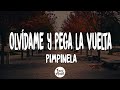 Olvdame y pega la vuelta  pimpinela letralyrics