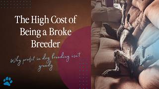 The Hidden Cost So Many Dog Breeders Are Paying