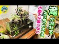【アクアリウム】滝の流れる40センチレイアウト水槽（水換えが要らないシステムでメダカや熱帯植物を楽しむ！）