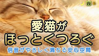 【Harmonic Resonance Sound for Cats 12H】Calming Drone for Relaxation | Cat Ambient Sound screenshot 4