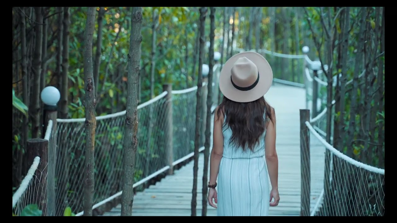 Enya - Sing For My Life