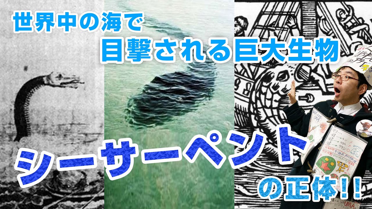 シーサーペント の正体 Youtube