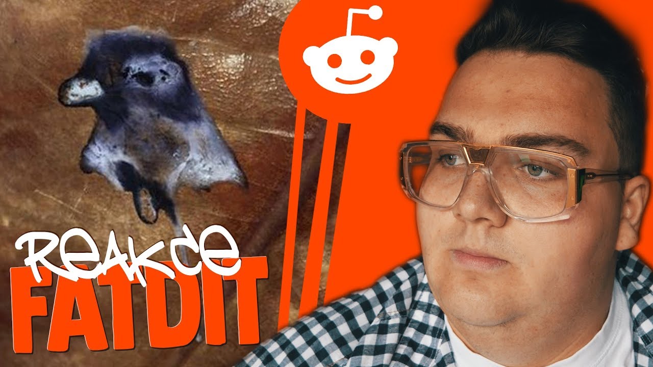 TOHLE VIDEO NEPOBERE 5 LIDÍ ZE 4!!!!