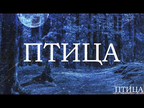 ПТИЦА! Страшные Истории На Ночь