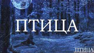 картинка: ПТИЦА! Страшные Истории На Ночь