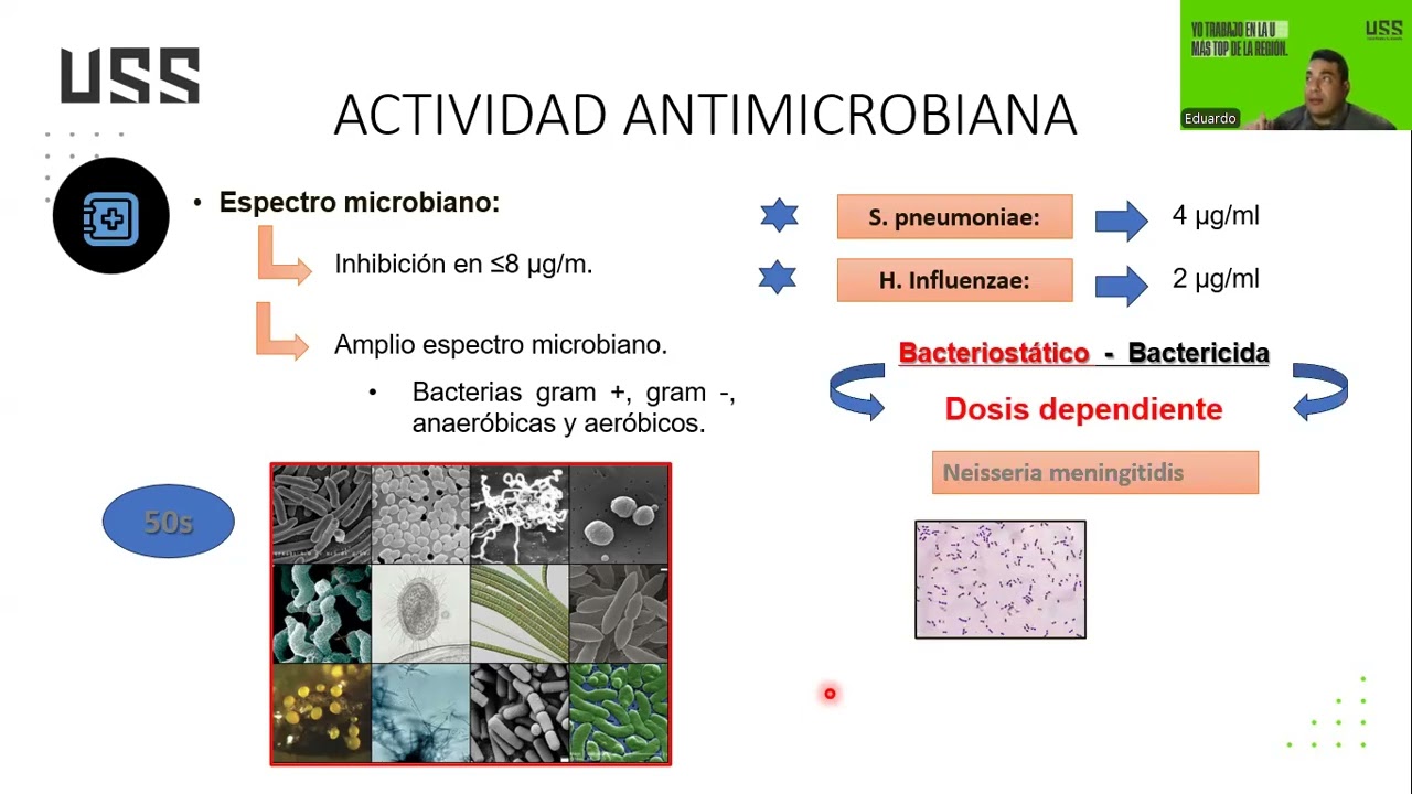 CLORAFENICOL Y VANCOMICINA Y TUBERCULOSIS