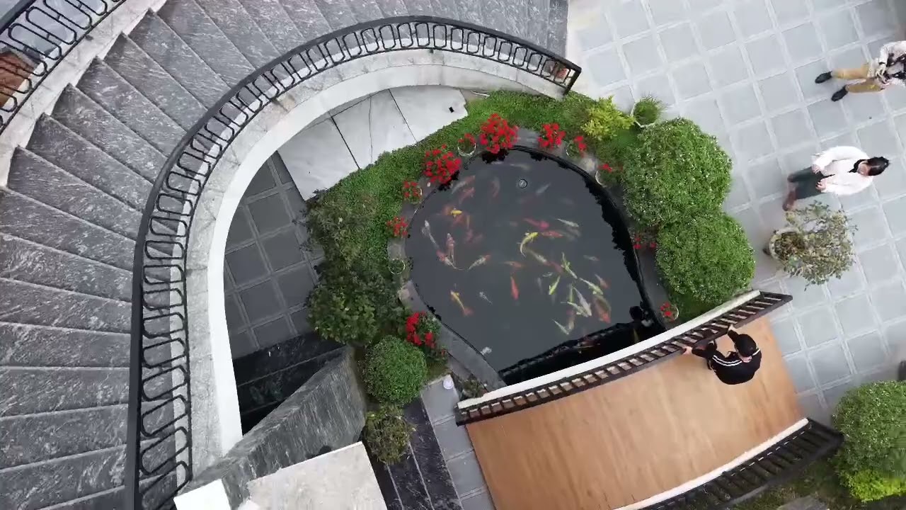 Biệt thự hiện đại