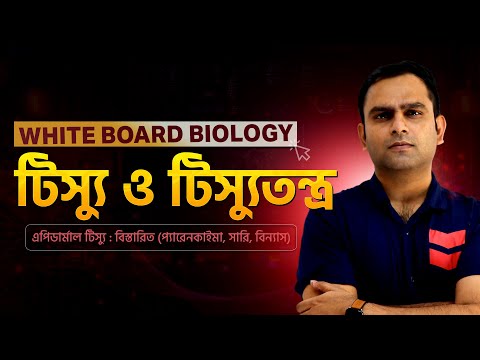 8. এপিডার্মাল টিস্যু : বিস্তারিত (প্যারেনকাইমা, সারি, বিন্যাস) | Biology Haters