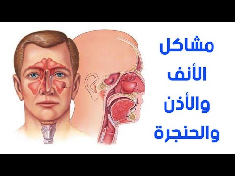 الدكتور محمد صلاح  استشاري الأنف والأذن والحنجرة يجيب عن أهم الأسئلة