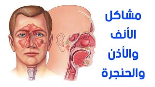 الدكتور/ محمد صلاح ـ استشاري الأنف والأذن والحنجرة يجيب عن أهم الأسئلة