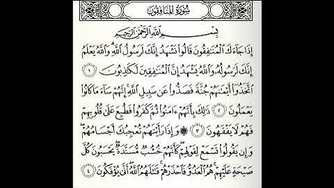 تلاوات مختارة سورة المنافقون القارئ ناصر علي الغامدي