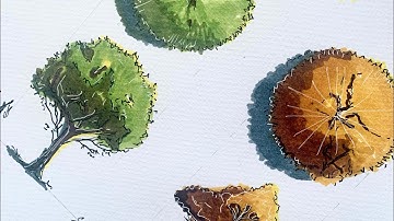 #howtodraw |Tree plan and elevation| for #architecture drawings[2021]