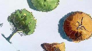 #howtodraw |Tree plan and elevation| for #architecture drawings[2021]