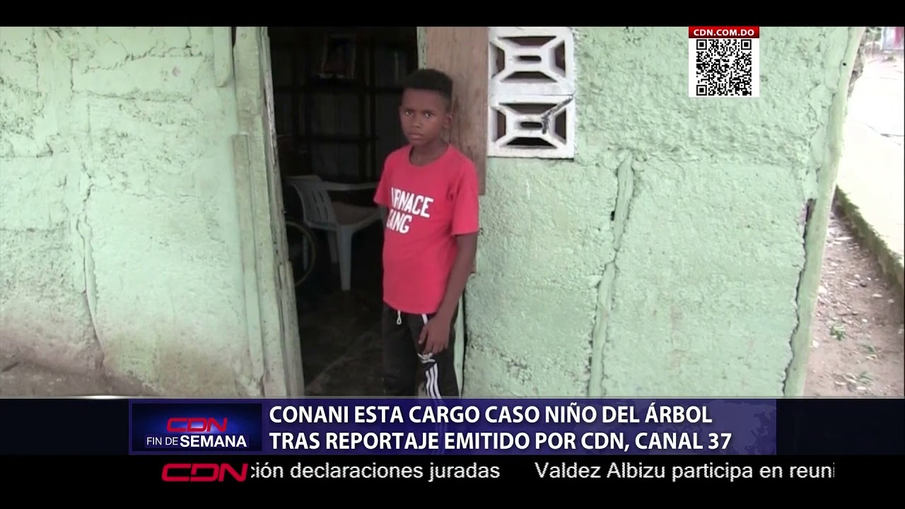 Tras reportaje de CDN, Conani se encarga de adolescente que vivía en un árbol
