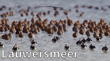Prachtige natuur rondom het Lauwersmeer | Op pad met Ruben