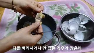 떡조개 손질하기~~
