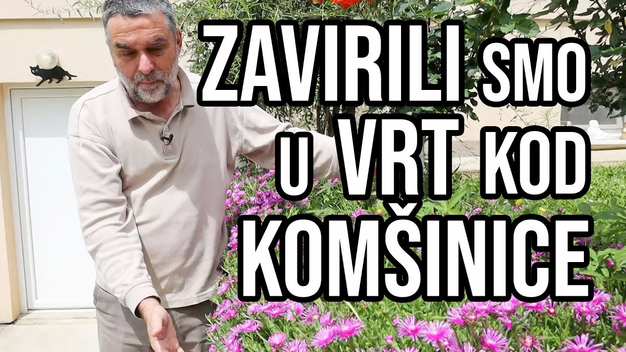 Zavirili smo u vrt kod komšinice