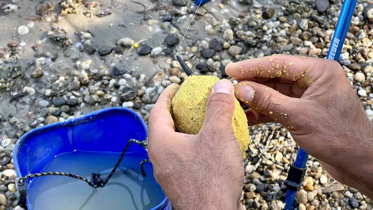 Podzimní rybaření tolstolobika I. - lov s feeder krmítkem #rybaření