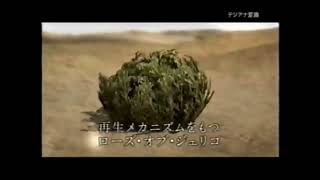 2012 Lux Bio Fusion Commercial Japan