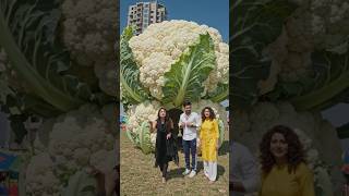 GobiParty #DiscoVibes #TrendingIndia #FunReels #CreativeVideo #TorMajnuRangdar #StreetArt #