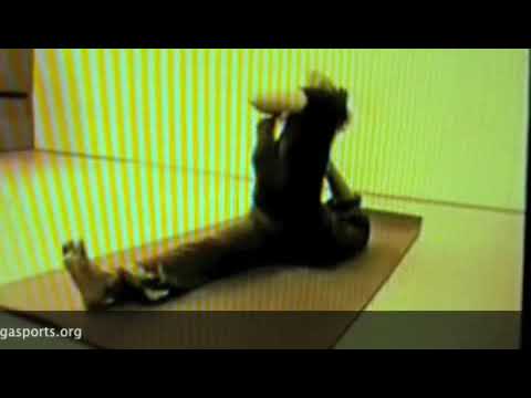 World Yoga Championship 2003, Artistic Yoga ® , Yoga Artistico ®,, Tanya Piven from Ukriane yoga flow pittsburgh