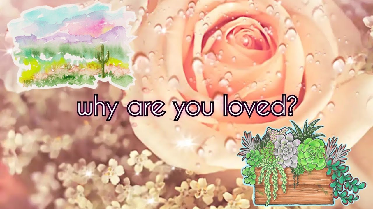 why are you loved? ♡ pick-a-card reading