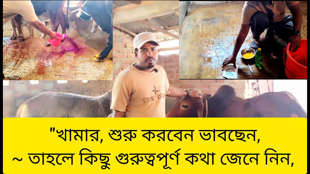 বেশি চিন্তা না করে শুরু করে দিতে হবে’, দেখুন ভিডিওতে “অ্যাকশন” টেকার হতে হবে